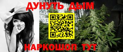 крисы Будённовск