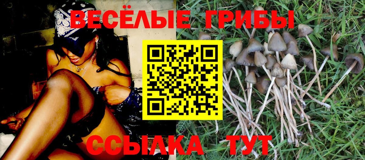 Псилоцибиновые грибы ЛСД Симферополь